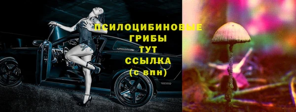 трава Бежецк