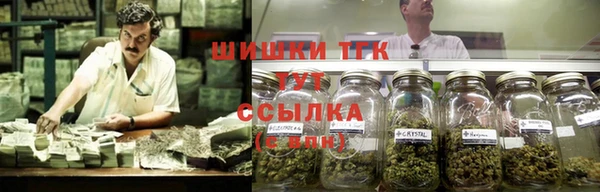 Альфа ПВП Белая Холуница
