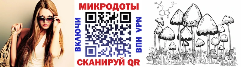Псилоцибиновые грибы мицелий  Георгиевск 