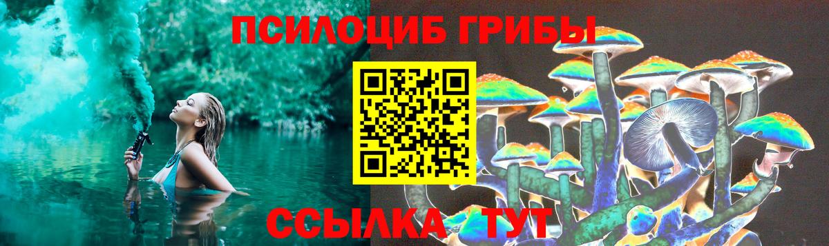 Псилоцибиновые грибы Cubensis  Вход с VPN  Георгиевск 